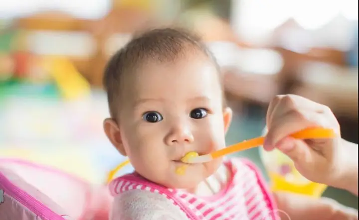 Chế Độ Dinh Dưỡng Cho Bé 6 Tháng Tuổi: Thực Đơn Ăn Dặm Khoa Học & Lưu Ý Quan Trọng Chế Độ Dinh Dưỡng Cho Bé 6 Tháng Tuổi: Thực Đơn Ăn Dặm Khoa Học & Lưu Ý Quan Trọng