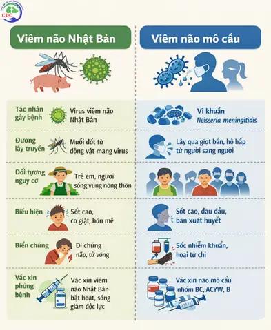Tiêm Vắc Xin Viêm Não Nhật Bản Cho Bé: Lịch Tiêm, Liều Lượng & Lưu Ý Quan Trọng