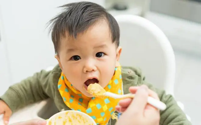 Bé Ăn Bột Đến Khi Nào Thì Chuyển Sang Cháo? Lộ Trình Ăn Dặm Chuẩn Theo Chuyên Gia