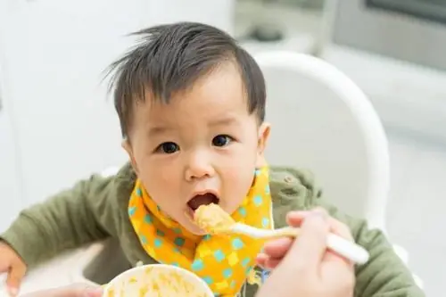 Cho Bé Ăn Dặm Ngày Mấy Lần: Lịch Trình Khoa Học Theo Từng Tháng Tuổi