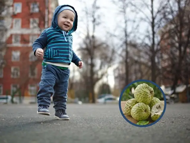 Cho Bé Ăn Quả Na Có Tốt Không? Lợi Ích, Thời Điểm Và Những Lưu Ý Quan Trọng