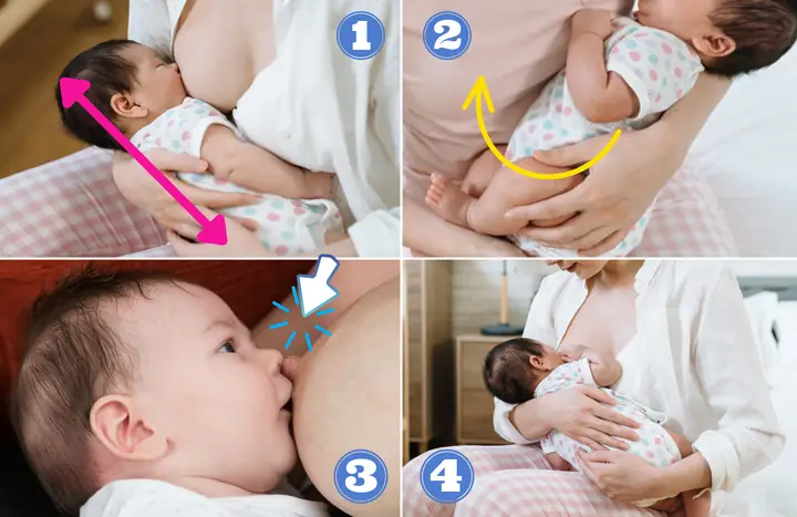 Hướng Dẫn Cho Bé Sơ Sinh Bú Đúng Cách: Tần Suất, Lượng Sữa Và Dấu Hiệu Nhận Biết