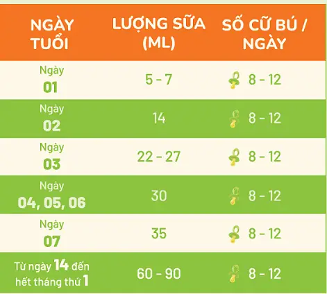Cho Bé Sơ Sinh Bú Bao Nhiêu Lần 1 Ngày Là Đủ? Hướng Dẫn Chi Tiết Theo Độ Tuổi