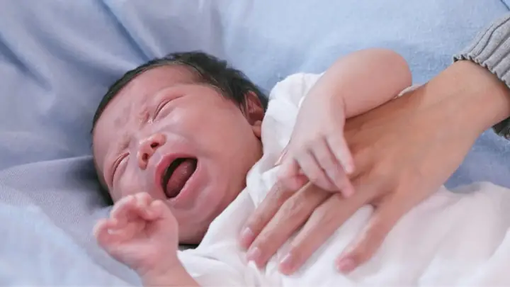 Bé Sơ Sinh Bị Ho Có Đờm: 7 Cách Xử Lý An Toàn Và Hiệu Quả Tại Nhà