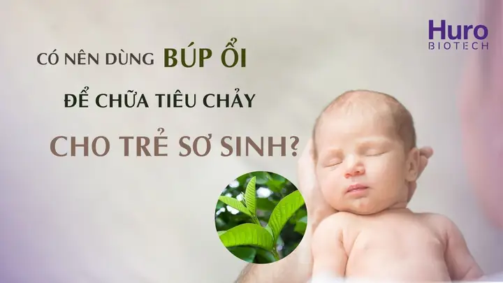 Búp Ổi Chữa Tiêu Chảy Cho Bé: Cách Dùng An Toàn Và Hiệu Quả Theo Dân Gian