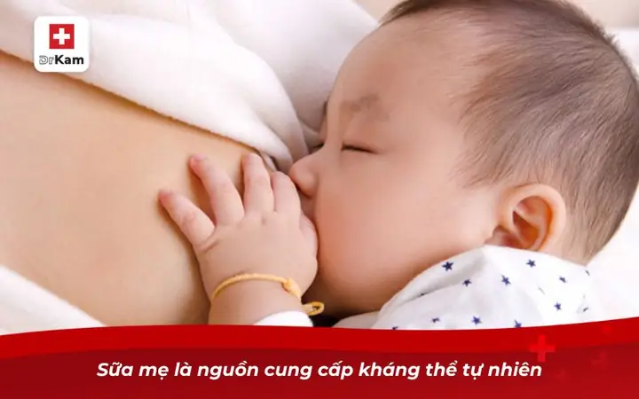 Hướng Dẫn Cách Chữa Viêm Họng Cho Bé Sơ Sinh An Toàn Tại Nhà