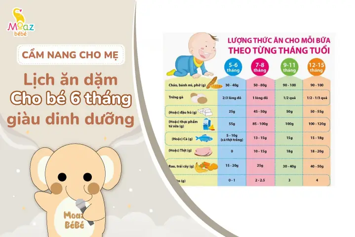 Chuẩn Bị Đồ Ăn Dặm Cho Bé 6 Tháng Tuổi: Thực Đơn, Nguyên Tắc & Lưu Ý Chi Tiết