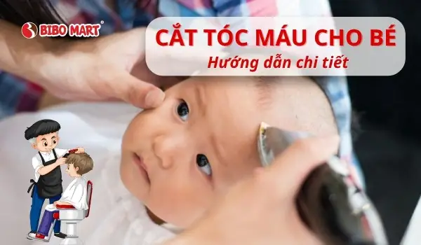 Có Nên Cắt Tóc Máu Cho Bé Trai: Giải Đáp Từ Khoa Học Đến Dân Gian Có Nên Cắt Tóc Máu Cho Bé Trai: Giải Đáp Từ Khoa Học Đến Dân Gian