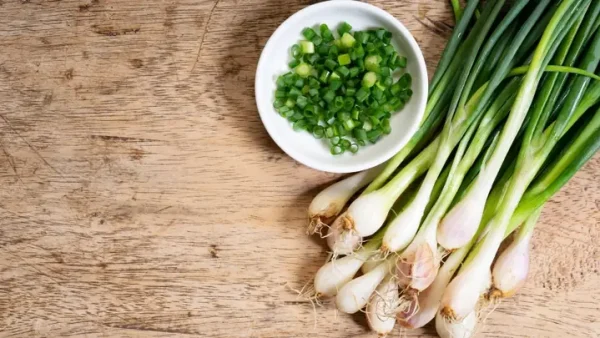 Có Nên Cho Bé Ăn Hành Lá Và Khi Nào Bé Bắt Đầu Ăn Được?