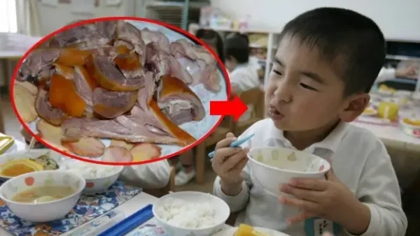Có Nên Cho Bé Ăn Thịt Chó: Lợi Ích, Rủi Ro Và Đối Tượng Tuyệt Đối Không Nên Ăn