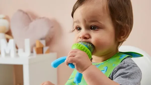 Có Nên Cho Bé Dùng Túi Nhai Ăn Dặm: Hướng Dẫn Chi Tiết Và Lời Khuyên Từ Chuyên Gia