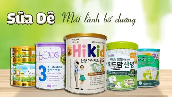Có Nên Cho Bé Uống Sữa Dê Không? Lợi Ích, Rủi Ro Và Lưu Ý Khi Sử Dụng
