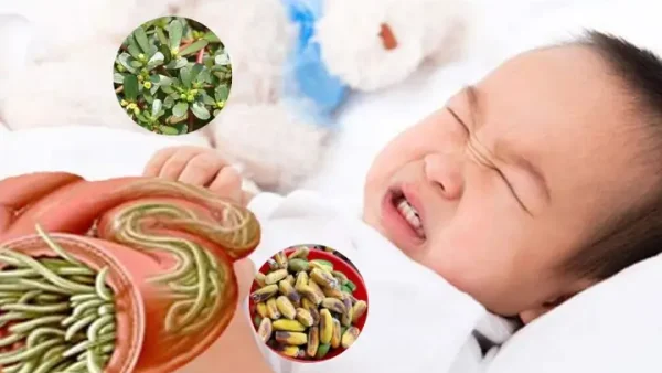 Có Nên Tẩy Giun Cho Bé Bao Nhiêu Tuổi? Hướng Dẫn Chi Tiết & Lưu Ý An Toàn