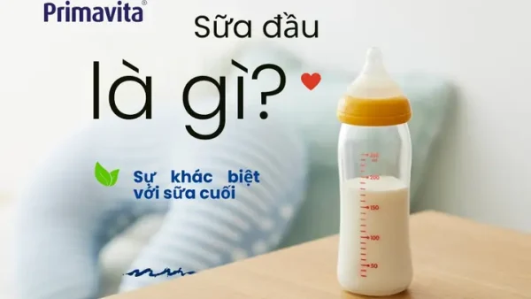Có Nên Vắt Sữa Cho Bé Bú Bình? Hướng Dẫn Chi Tiết Từ A-Z