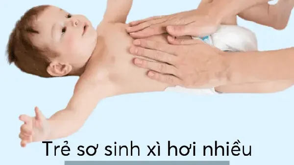 Có Nên Xi Tiểu Cho Bé Sơ Sinh: Lợi Ích, Rủi Ro Và Thời Điểm Phù Hợp Theo Chuyên Gia