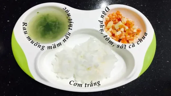 Cách Nấu Cơm Nát Cho Bé 9 Tháng Đảm Bảo Dinh Dưỡng Và Dễ Tiêu Hóa