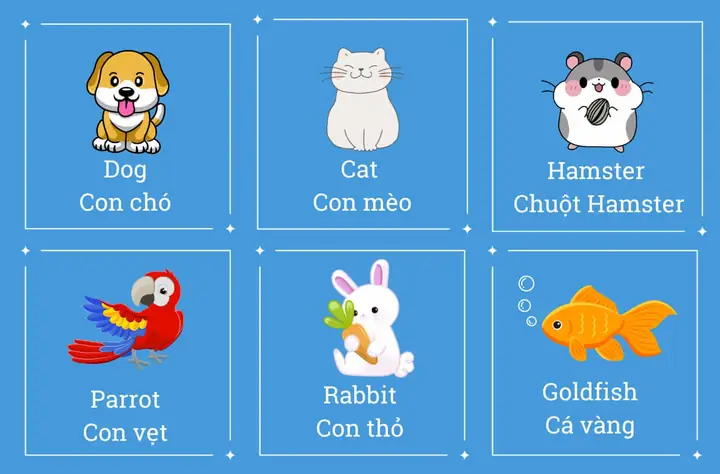 100+ Từ Vựng Tiếng Anh Chủ Đề Con Vật Cho Bé: Dễ Học, Dễ Nhớ 100+ Từ Vựng Tiếng Anh Chủ Đề Con Vật Cho Bé: Dễ Học, Dễ Nhớ