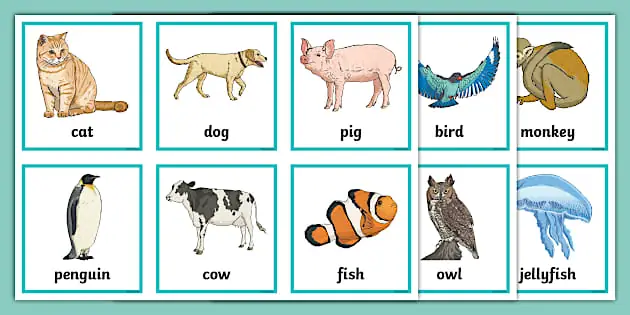 100+ Từ Vựng Tiếng Anh Chủ Đề Con Vật Cho Bé: Dễ Học, Dễ Nhớ 100+ Từ Vựng Tiếng Anh Chủ Đề Con Vật Cho Bé: Dễ Học, Dễ Nhớ