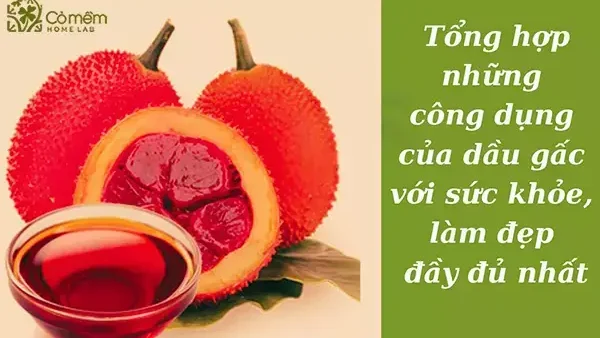 Công Dụng Tuyệt Vời Của Dầu Gấc Cho Bé: Hỗ Trợ Tăng Cường Sức Khỏe Toàn Diện
