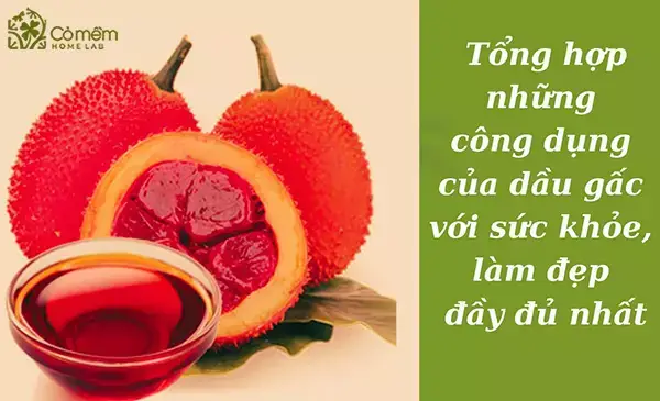 Công Dụng Tuyệt Vời Của Dầu Gấc Cho Bé: Hỗ Trợ Tăng Cường Sức Khỏe Toàn Diện