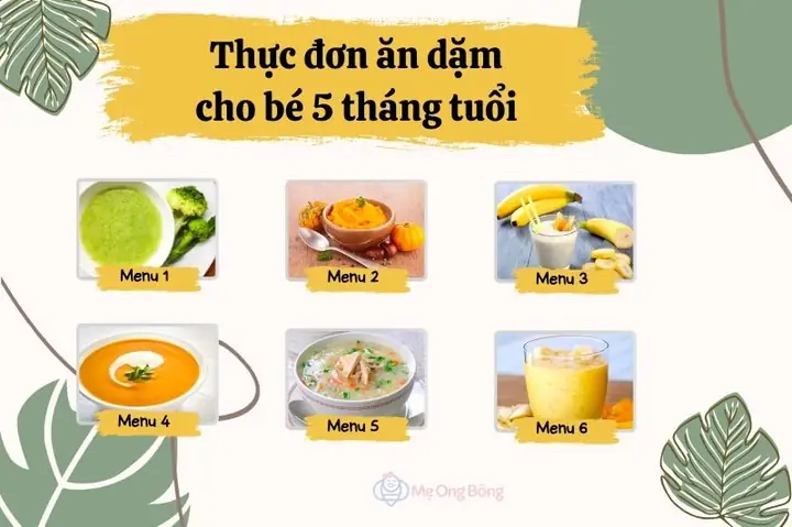 Công Thức Ăn Dặm Cho Bé 5 Tháng: Thực Đơn Chuẩn Khoa Học & Lịch Trình Chi Tiết