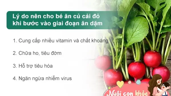 Cách Nấu Cháo Củ Cải Đỏ Cho Bé Ăn Dặm: Lợi Ích, Công Thức Dễ Làm