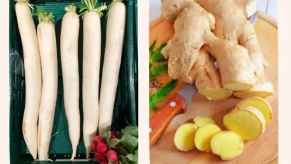 Củ Cải Trắng Trị Ho Cho Bé: Cách Dùng An Toàn & Hiệu Quả Tại Nhà