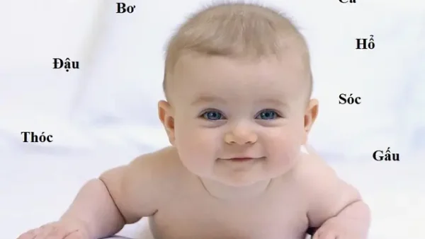 200+ Tên Ở Nhà Cho Bé Trai: Hay, Ý Nghĩa, Dễ Thương & Độc Lạ