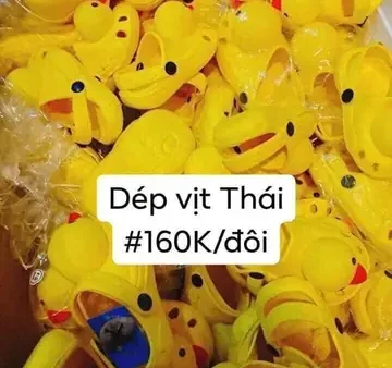 Dép Con Vịt Cho Bé: Mẫu Mã, Giá Cả Và Lưu Ý Chọn Mua