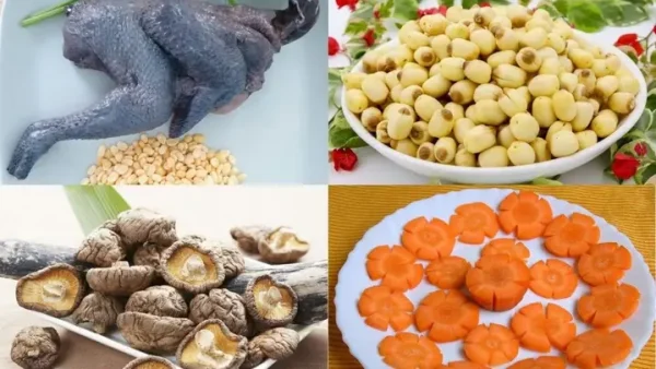 Gà Ác Nấu Gì Ngon Cho Bé Ăn Dặm Vừa Bổ Dưỡng Vừa Dễ Làm