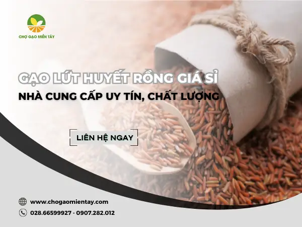 Cách Nấu Cháo Gạo Lứt Huyết Rồng Cho Bé Ăn Dặm Thơm Ngon, Giàu Dinh Dưỡng Cách Nấu Cháo Gạo Lứt Huyết Rồng Cho Bé Ăn Dặm Thơm Ngon, Giàu Dinh Dưỡng