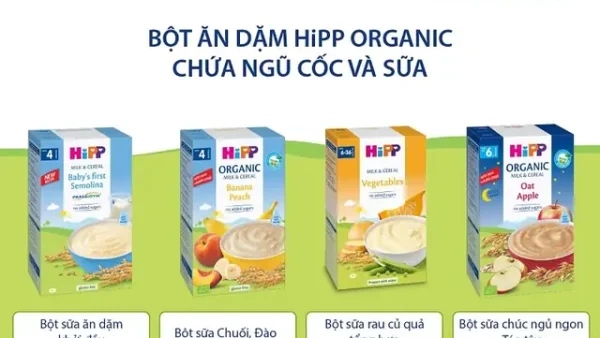 Ghế Ăn Dặm Cho Bé 5 Tháng: Tiêu Chí Chọn Lựa & Loại Phổ Biến