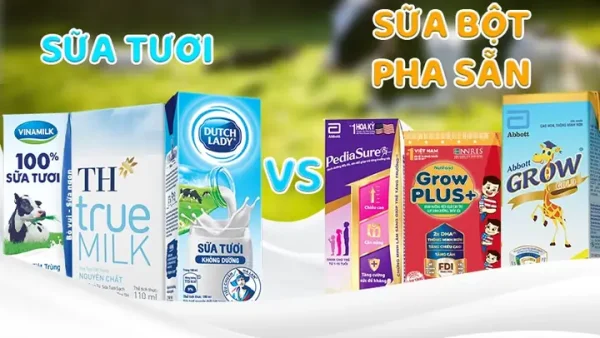 Giá Các Loại Sữa Bột Cho Bé: Nên Chọn Loại Nào Tốt Nhất Hiện Nay?