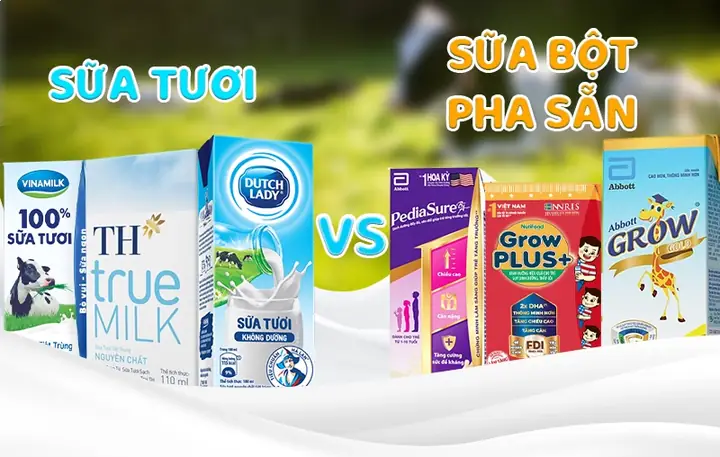 Giá Các Loại Sữa Bột Cho Bé: Nên Chọn Loại Nào Tốt Nhất Hiện Nay? Giá Các Loại Sữa Bột Cho Bé: Nên Chọn Loại Nào Tốt Nhất Hiện Nay?