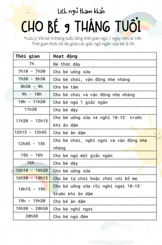 Lịch Ăn Dặm Cho Bé 9 Tháng Tuổi: Thời Gian Biểu Chuẩn Và Thực Đơn Chi Tiết Lịch Ăn Dặm Cho Bé 9 Tháng Tuổi: Thời Gian Biểu Chuẩn Và Thực Đơn Chi Tiết