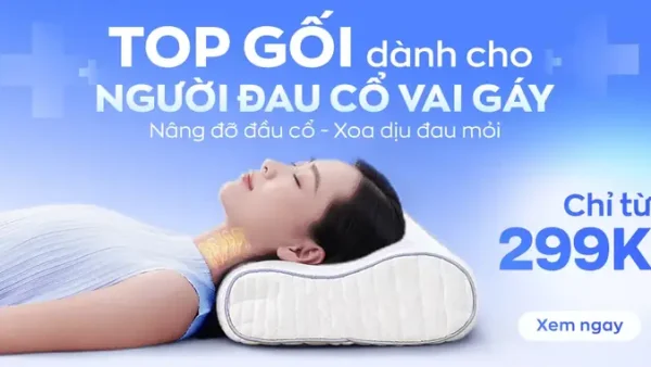 Gối Cho Bé 5 Tuổi: Tiêu Chí Chọn Lựa, Lưu Ý Và Top Sản Phẩm Tốt Nhất