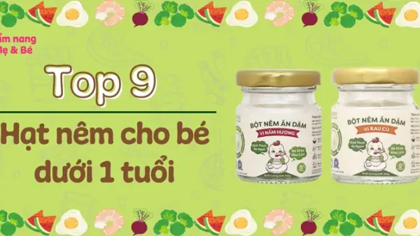 Hạt Nêm Nhật Cho Bé Dưới 1 Tuổi: Chọn Loại Nào Tốt Nhất?