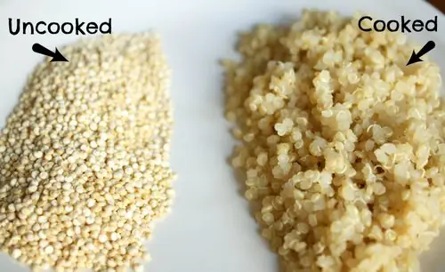 Hạt Quinoa Cho Bé Ăn Dặm: Lợi Ích, Cách Nấu & Món Ngon Dễ Làm