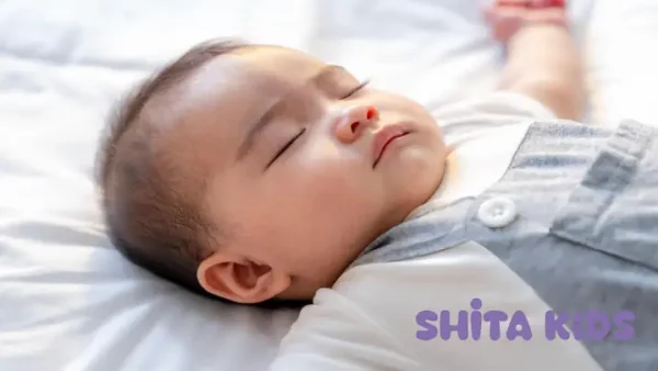 Hồ Sơ Cho Bé Đi Nhà Trẻ Cần Những Gì? Hướng Dẫn Chuẩn Bị Đầy Đủ & Chi Tiết