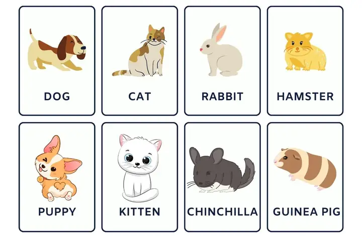 Bí Quyết Dạy Tiếng Anh Cho Bé 5 Tuổi: Phương Pháp, Từ Vựng Và Hoạt Động Hiệu Quả Bí Quyết Dạy Tiếng Anh Cho Bé 5 Tuổi: Phương Pháp, Từ Vựng Và Hoạt Động Hiệu Quả