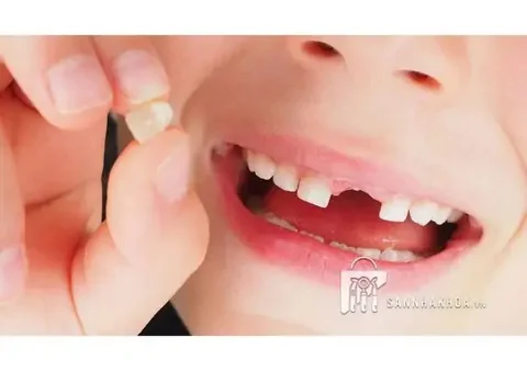 Hộp Đựng Răng Sữa Cho Bé: Lưu Giữ Kỷ Niệm Tuổi Thơ Ý Nghĩa