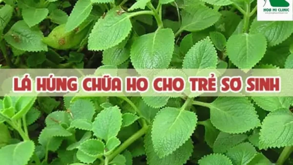 Húng Chanh Chữa Ho Cho Bé: Cách Dùng An Toàn & Hiệu Quả