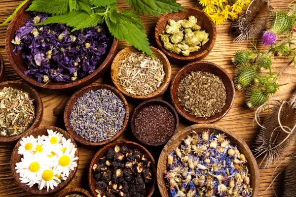 Kem Đánh Răng Tốt Cho Bé: Tiêu Chí Chọn Lọc & Top Sản Phẩm An Toàn, Hiệu Quả