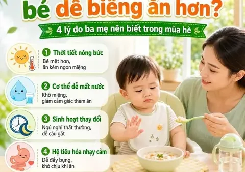Khi Nào Trẻ Nên Bắt Đầu Ăn Dặm 3 Bữa Mỗi Ngày? Hướng Dẫn Chi Tiết