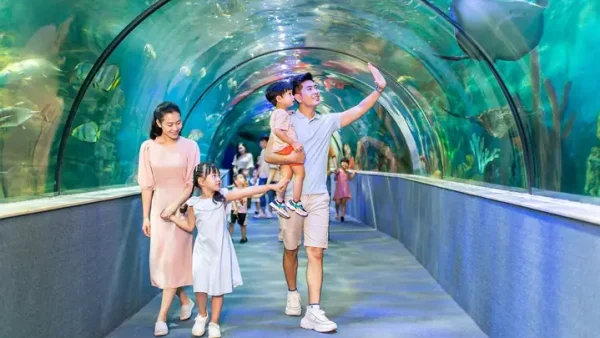 Top Khu Vui Chơi Nhà Bóng Cho Bé Ở Hà Nội: Địa Điểm Hấp Dẫn, An Toàn