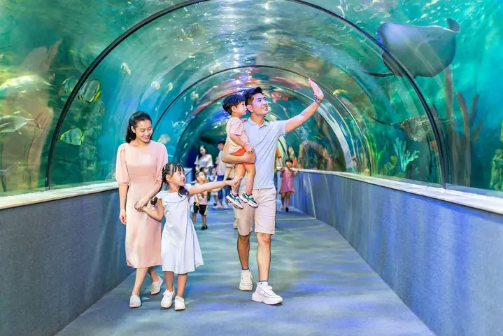 Top Khu Vui Chơi Nhà Bóng Cho Bé Ở Hà Nội: Địa Điểm Hấp Dẫn, An Toàn Top Khu Vui Chơi Nhà Bóng Cho Bé Ở Hà Nội: Địa Điểm Hấp Dẫn, An Toàn