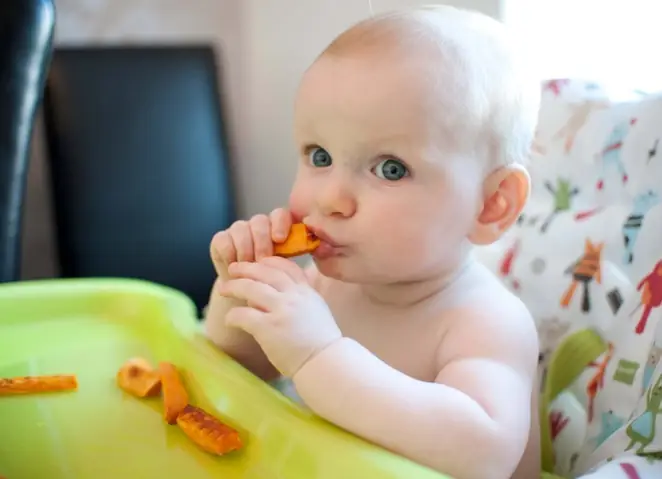 Kiến Thức Ăn Dặm Toàn Diện Cho Bé: Hướng Dẫn Từ Chuyên Gia Kiến Thức Ăn Dặm Toàn Diện Cho Bé: Hướng Dẫn Từ Chuyên Gia