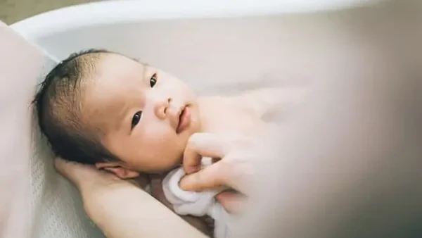 Lá Cây Hạ Sốt Cho Bé: 7 Loại Dược Liệu Tự Nhiên An Toàn Tại Nhà