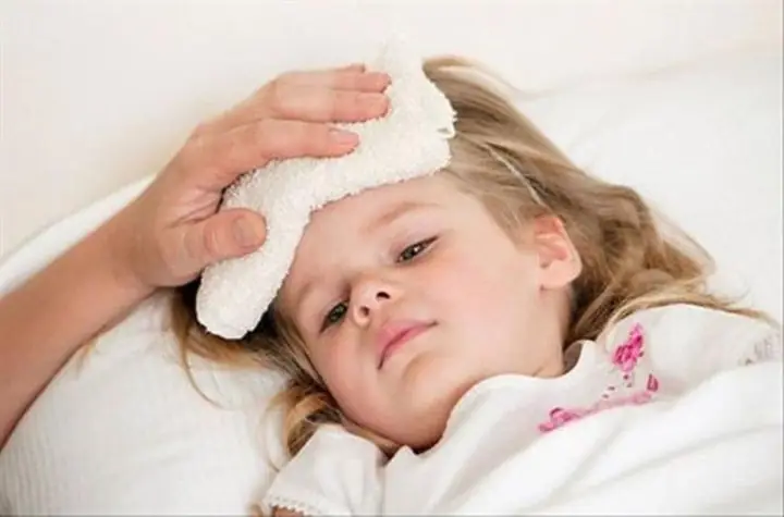 Lá Cây Hạ Sốt Cho Bé: 7 Loại Dược Liệu Tự Nhiên An Toàn Tại Nhà
