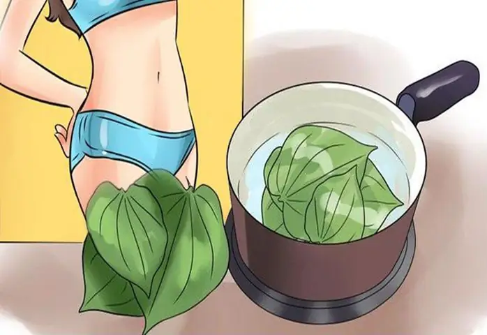 Làm Hồng Cô Bé: 15+ Cách Tự Nhiên An Toàn Tại Nhà Giúp Vùng Kín Sáng Mịn & Tự Tin Làm Hồng Cô Bé: 15+ Cách Tự Nhiên An Toàn Tại Nhà Giúp Vùng Kín Sáng Mịn & Tự Tin